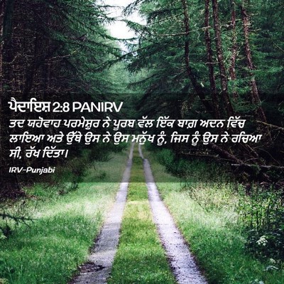 Picture 02 - ਪੈਦਾਇਸ਼ 2:8 PANIRV - ਤਦ ਯਹੋਵਾਹ - Bible Verse Picture