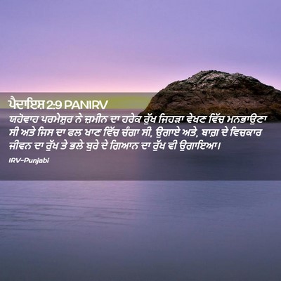 Picture 02 - ਪੈਦਾਇਸ਼ 2:9 PANIRV - ਯਹੋਵਾਹ ਪਰਮੇਸ਼ੁਰ - Bible Verse Picture