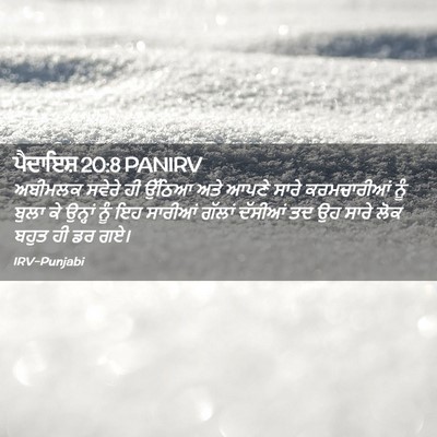 Picture 02 - ਪੈਦਾਇਸ਼ 20:8 PANIRV - ਅਬੀਮਲਕ ਸਵੇਰੇ ਹੀ - Bible Verse Picture