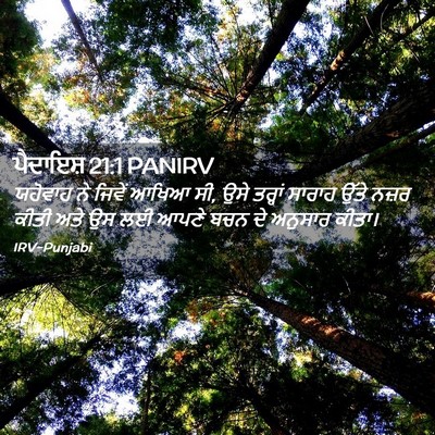 Picture 02 - ਪੈਦਾਇਸ਼ 21:1 PANIRV - ਯਹੋਵਾਹ ਨੇ ਜਿਵੇਂ - Bible Verse Picture