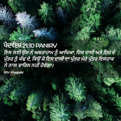 Picture 02 - ਪੈਦਾਇਸ਼ 21:10 PANIRV - ਇਸ ਲਈ ਉਸ ਨੇ ਅਬਰਾਹਾਮ - Bible Verse Picture