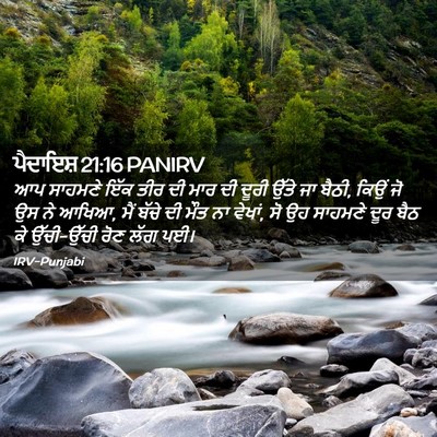 Picture 02 - ਪੈਦਾਇਸ਼ 21:16 PANIRV - ਆਪ ਸਾਹਮਣੇ ਇੱਕ ਤੀਰ - Bible Verse Picture