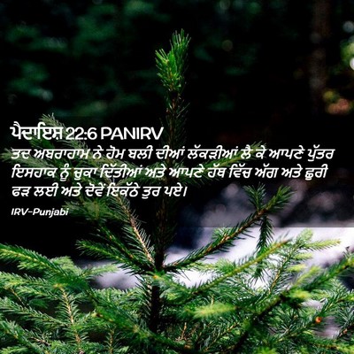 Picture 02 - ਪੈਦਾਇਸ਼ 22:6 PANIRV - ਤਦ ਅਬਰਾਹਾਮ ਨੇ ਹੋਮ - Bible Verse Picture