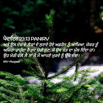 Picture 02 - ਪੈਦਾਇਸ਼ 23:13 PANIRV - ਅਤੇ ਉਸ ਦੇਸ਼ ਦੇ - Bible Verse Picture