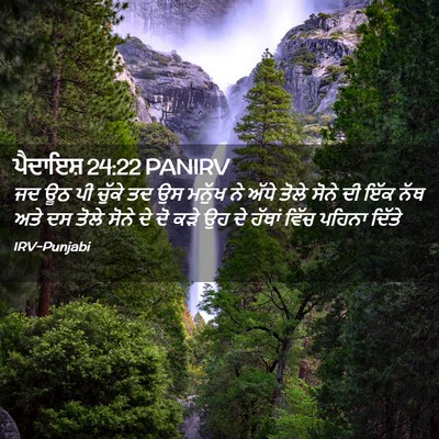 Picture 02 - ਪੈਦਾਇਸ਼ 24:22 PANIRV - ਜਦ ਊਠ ਪੀ ਚੁੱਕੇ ਤਦ - Bible Verse Picture
