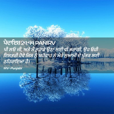 Picture 02 - ਪੈਦਾਇਸ਼ 24:44 PANIRV - ਪੀ ਲਓ ਜੀ, ਅਤੇ ਮੈਂ - Bible Verse Picture