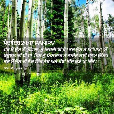 Picture 02 - ਪੈਦਾਇਸ਼ 24:47 PANIRV - ਫੇਰ ਮੈਂ ਉਸ ਤੋਂ - Bible Verse Picture