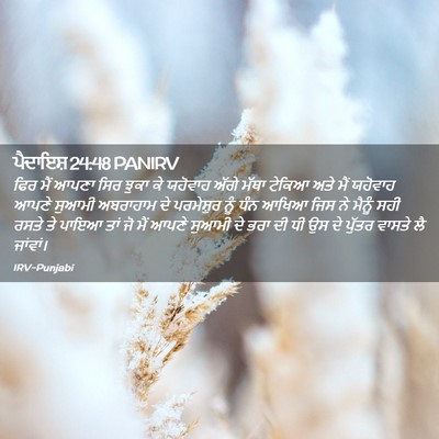 Picture 02 - ਪੈਦਾਇਸ਼ 24:48 PANIRV - ਫਿਰ ਮੈਂ ਆਪਣਾ ਸਿਰ - Bible Verse Picture