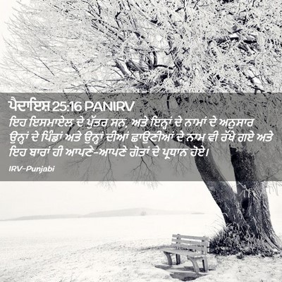 Picture 02 - ਪੈਦਾਇਸ਼ 25:16 PANIRV - ਇਹ ਇਸਮਾਏਲ ਦੇ ਪੁੱਤਰ - Bible Verse Picture