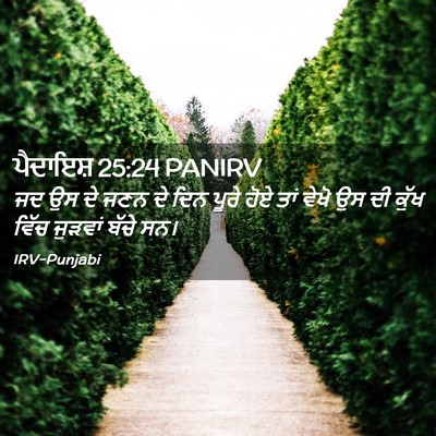 Picture 02 - ਪੈਦਾਇਸ਼ 25:24 PANIRV - ਜਦ ਉਸ ਦੇ ਜਣਨ ਦੇ ਦਿਨ - Bible Verse Picture