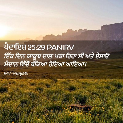 Picture 02 - ਪੈਦਾਇਸ਼ 25:29 PANIRV - ਇੱਕ ਦਿਨ ਯਾਕੂਬ ਦਾਲ - Bible Verse Picture