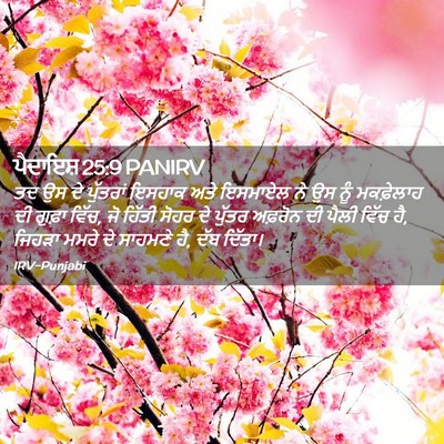 Picture 02 - ਪੈਦਾਇਸ਼ 25:9 PANIRV - ਤਦ ਉਸ ਦੇ ਪੁੱਤਰਾਂ - Bible Verse Picture