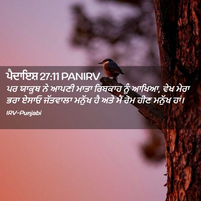 Picture 02 - ਪੈਦਾਇਸ਼ 27:11 PANIRV - ਪਰ ਯਾਕੂਬ ਨੇ ਆਪਣੀ - Bible Verse Picture