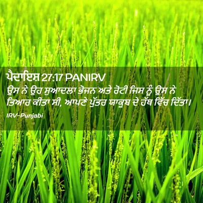 Picture 02 - ਪੈਦਾਇਸ਼ 27:17 PANIRV - ਉਸ ਨੇ ਉਹ ਸੁਆਦਲਾ - Bible Verse Picture