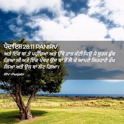 Picture 02 - ਪੈਦਾਇਸ਼ 28:11 PANIRV - ਅਤੇ ਇੱਕ ਥਾਂ ਤੇ - Bible Verse Picture