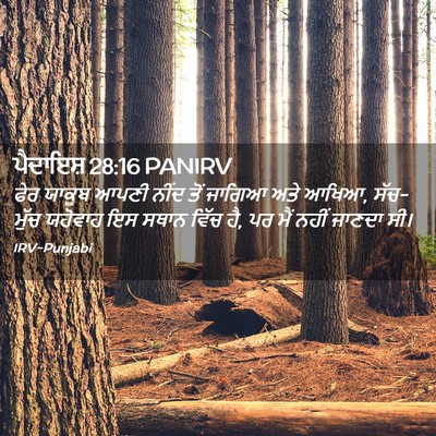 Picture 02 - ਪੈਦਾਇਸ਼ 28:16 PANIRV - ਫੇਰ ਯਾਕੂਬ ਆਪਣੀ - Bible Verse Picture