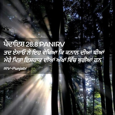 Picture 02 - ਪੈਦਾਇਸ਼ 28:8 PANIRV - ਤਦ ਏਸਾਓ ਨੇ ਇਹ ਵੇਖਿਆ - Bible Verse Picture