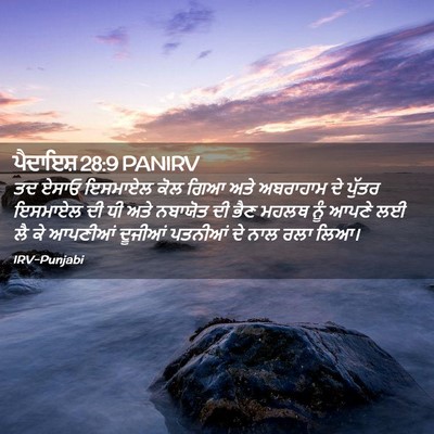 Picture 02 - ਪੈਦਾਇਸ਼ 28:9 PANIRV - ਤਦ ਏਸਾਓ ਇਸਮਾਏਲ ਕੋਲ - Bible Verse Picture
