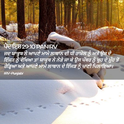 Picture 02 - ਪੈਦਾਇਸ਼ 29:10 PANIRV - ਜਦ ਯਾਕੂਬ ਨੇ ਆਪਣੇ - Bible Verse Picture