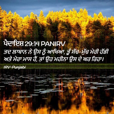 Picture 02 - ਪੈਦਾਇਸ਼ 29:14 PANIRV - ਤਦ ਲਾਬਾਨ ਨੇ ਉਸ ਨੂੰ - Bible Verse Picture