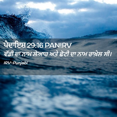Picture 02 - ਪੈਦਾਇਸ਼ 29:16 PANIRV - ਵੱਡੀ ਦਾ ਨਾਮ ਲੇਆਹ - Bible Verse Picture
