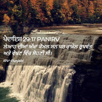 Picture 02 - ਪੈਦਾਇਸ਼ 29:17 PANIRV - ਲੇਆਹ ਦੀਆਂ ਅੱਖਾਂ - Bible Verse Picture