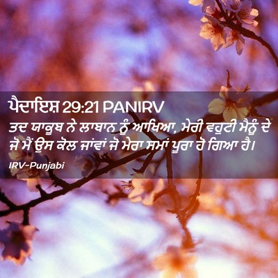 Picture 02 - ਪੈਦਾਇਸ਼ 29:21 PANIRV - ਤਦ ਯਾਕੂਬ ਨੇ ਲਾਬਾਨ - Bible Verse Picture