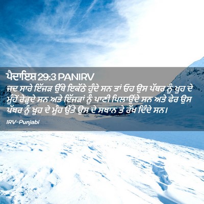 Picture 02 - ਪੈਦਾਇਸ਼ 29:3 PANIRV - ਜਦ ਸਾਰੇ ਇੱਜੜ ਉੱਥੇ - Bible Verse Picture