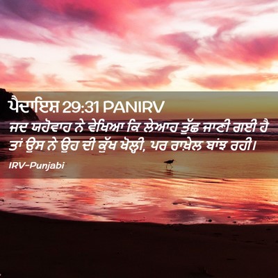 Picture 02 - ਪੈਦਾਇਸ਼ 29:31 PANIRV - ਜਦ ਯਹੋਵਾਹ ਨੇ ਵੇਖਿਆ - Bible Verse Picture
