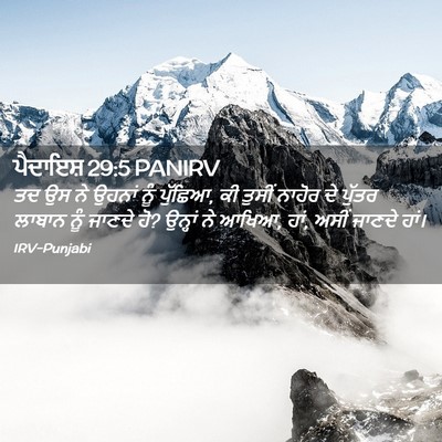 Picture 02 - ਪੈਦਾਇਸ਼ 29:5 PANIRV - ਤਦ ਉਸ ਨੇ ਉਹਨਾਂ ਨੂੰ - Bible Verse Picture