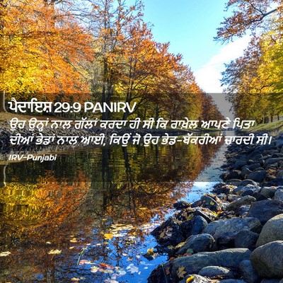 Picture 02 - ਪੈਦਾਇਸ਼ 29:9 PANIRV - ਉਹ ਉਨ੍ਹਾਂ ਨਾਲ - Bible Verse Picture