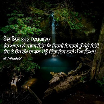 Picture 02 - ਪੈਦਾਇਸ਼ 3:12 PANIRV - ਫੇਰ ਆਦਮ ਨੇ ਜਵਾਬ - Bible Verse Picture