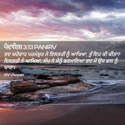 Picture 02 - ਪੈਦਾਇਸ਼ 3:13 PANIRV - ਤਦ ਯਹੋਵਾਹ - Bible Verse Picture