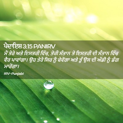 Picture 02 - ਪੈਦਾਇਸ਼ 3:15 PANIRV - ਮੈਂ ਤੇਰੇ ਅਤੇ ਇਸਤਰੀ - Bible Verse Picture