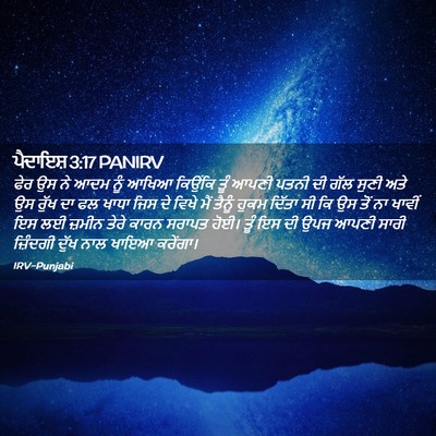 Picture 02 - ਪੈਦਾਇਸ਼ 3:17 PANIRV - ਫੇਰ ਉਸ ਨੇ ਆਦਮ ਨੂੰ - Bible Verse Picture