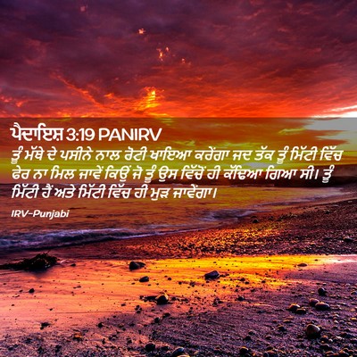Picture 02 - ਪੈਦਾਇਸ਼ 3:19 PANIRV - ਤੂੰ ਮੱਥੇ ਦੇ ਪਸੀਨੇ - Bible Verse Picture