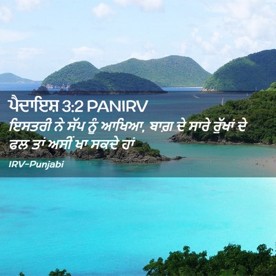 Picture 02 - ਪੈਦਾਇਸ਼ 3:2 PANIRV - ਇਸਤਰੀ ਨੇ ਸੱਪ ਨੂੰ - Bible Verse Picture