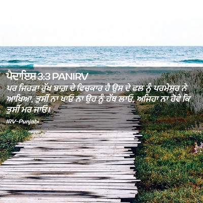 Picture 02 - ਪੈਦਾਇਸ਼ 3:3 PANIRV - ਪਰ ਜਿਹੜਾ ਰੁੱਖ ਬਾਗ਼ - Bible Verse Picture