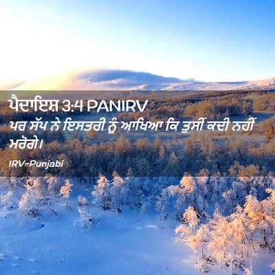 Picture 02 - ਪੈਦਾਇਸ਼ 3:4 PANIRV - ਪਰ ਸੱਪ ਨੇ ਇਸਤਰੀ ਨੂੰ - Bible Verse Picture