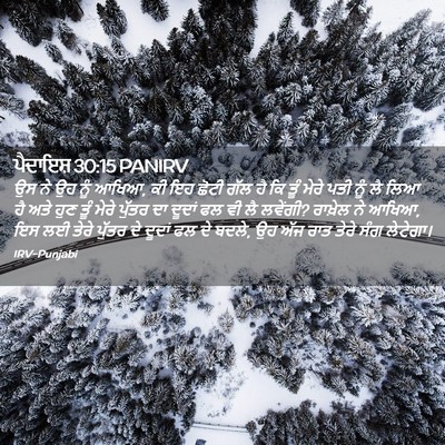 Picture 02 - ਪੈਦਾਇਸ਼ 30:15 PANIRV - ਉਸ ਨੇ ਉਹ ਨੂੰ ਆਖਿਆ, - Bible Verse Picture