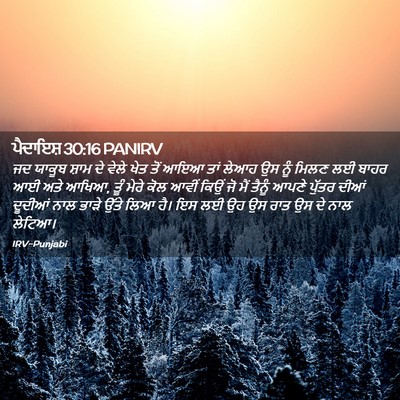 Picture 02 - ਪੈਦਾਇਸ਼ 30:16 PANIRV - ਜਦ ਯਾਕੂਬ ਸ਼ਾਮ ਦੇ - Bible Verse Picture