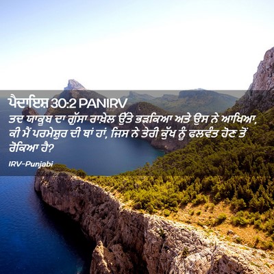 Picture 02 - ਪੈਦਾਇਸ਼ 30:2 PANIRV - ਤਦ ਯਾਕੂਬ ਦਾ ਗੁੱਸਾ - Bible Verse Picture