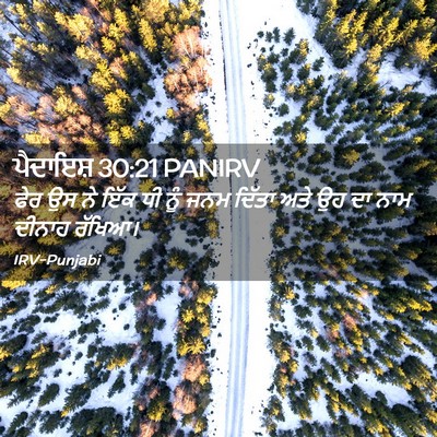 Picture 02 - ਪੈਦਾਇਸ਼ 30:21 PANIRV - ਫੇਰ ਉਸ ਨੇ ਇੱਕ ਧੀ - Bible Verse Picture