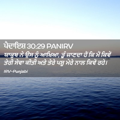 Picture 02 - ਪੈਦਾਇਸ਼ 30:29 PANIRV - ਯਾਕੂਬ ਨੇ ਉਸ ਨੂੰ - Bible Verse Picture