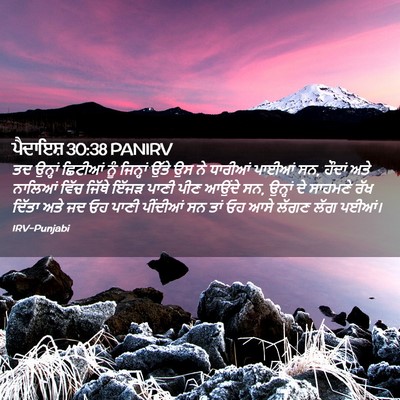 Picture 02 - ਪੈਦਾਇਸ਼ 30:38 PANIRV - ਤਦ ਉਨ੍ਹਾਂ ਛਿਟੀਆਂ - Bible Verse Picture