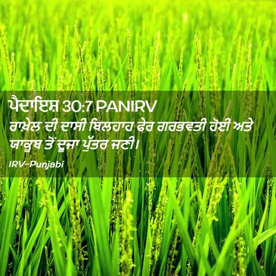 Picture 02 - ਪੈਦਾਇਸ਼ 30:7 PANIRV - ਰਾਖ਼ੇਲ ਦੀ ਦਾਸੀ - Bible Verse Picture