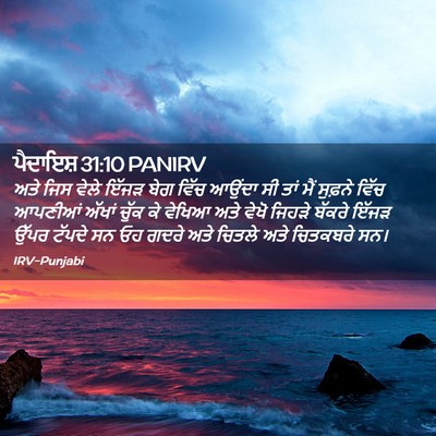 Picture 02 - ਪੈਦਾਇਸ਼ 31:10 PANIRV - ਅਤੇ ਜਿਸ ਵੇਲੇ ਇੱਜੜ - Bible Verse Picture
