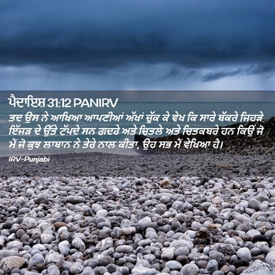 Picture 02 - ਪੈਦਾਇਸ਼ 31:12 PANIRV - ਤਦ ਉਸ ਨੇ ਆਖਿਆ - Bible Verse Picture
