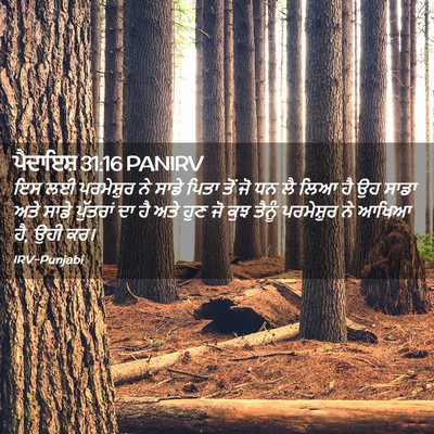 Picture 02 - ਪੈਦਾਇਸ਼ 31:16 PANIRV - ਇਸ ਲਈ ਪਰਮੇਸ਼ੁਰ ਨੇ - Bible Verse Picture