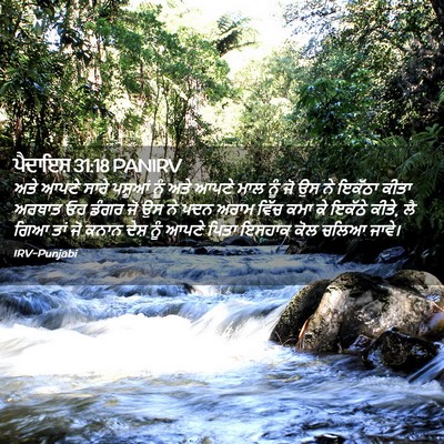 Picture 02 - ਪੈਦਾਇਸ਼ 31:18 PANIRV - ਅਤੇ ਆਪਣੇ ਸਾਰੇ - Bible Verse Picture